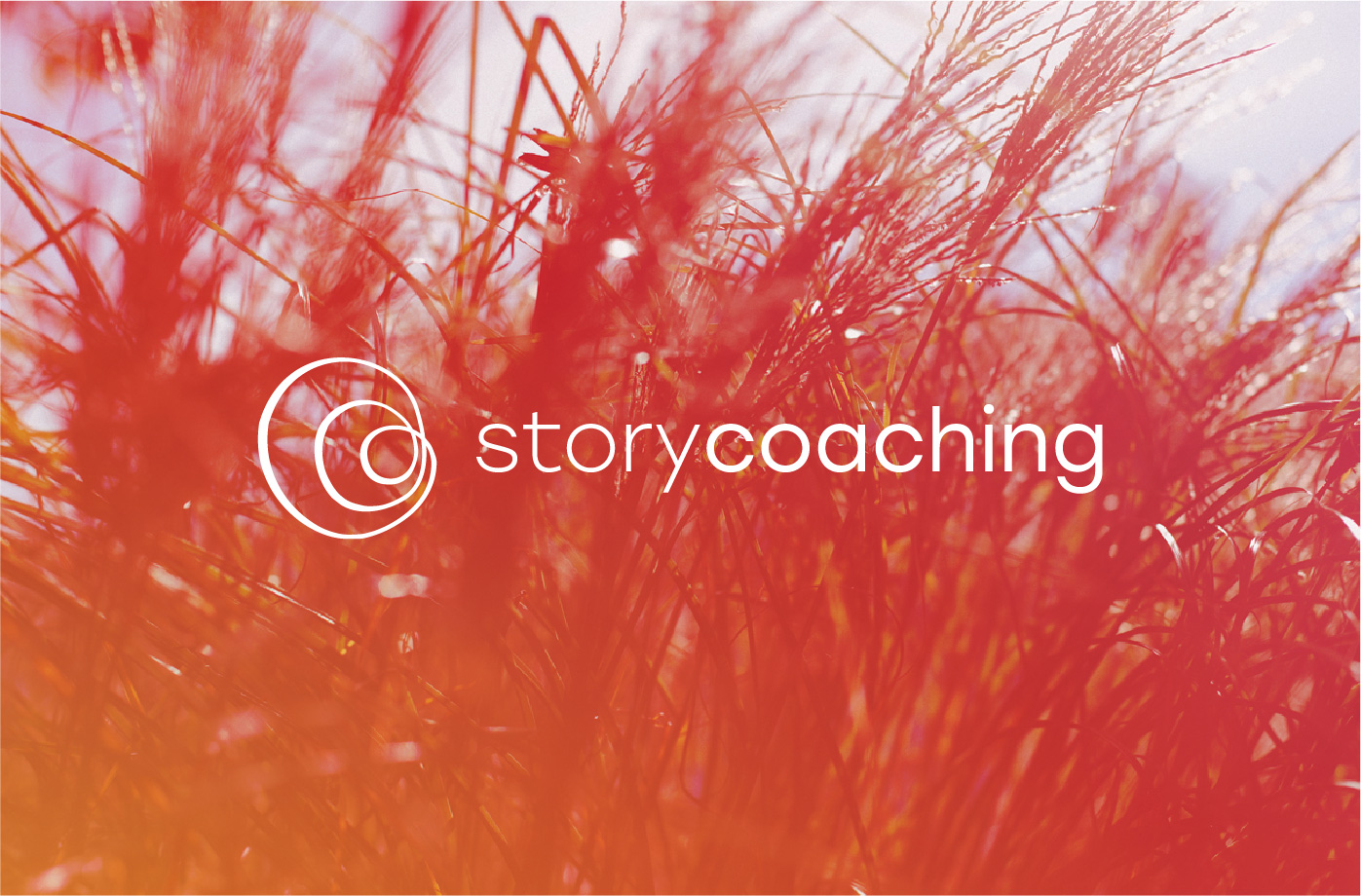Storycoaching